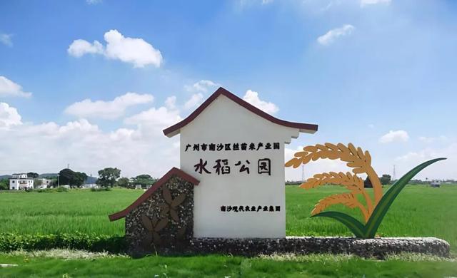 一键收藏分享！南沙十镇街长假超全玩法指南