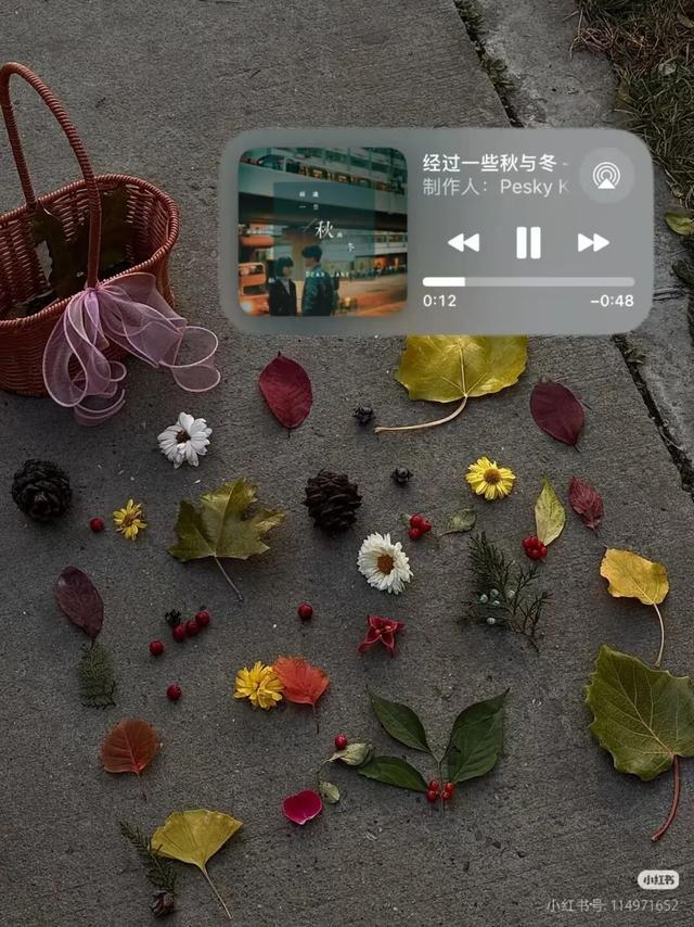 在甘肃，这些秋天仪式感拉满的事，你做了几件？