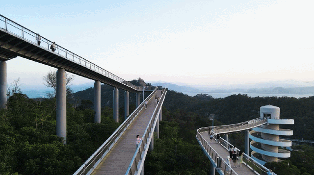 为什么是厦门？