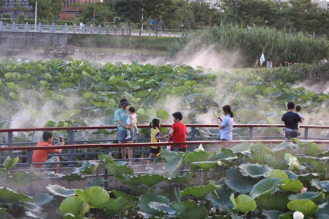 湾区微度假，斗门风光“镇”好