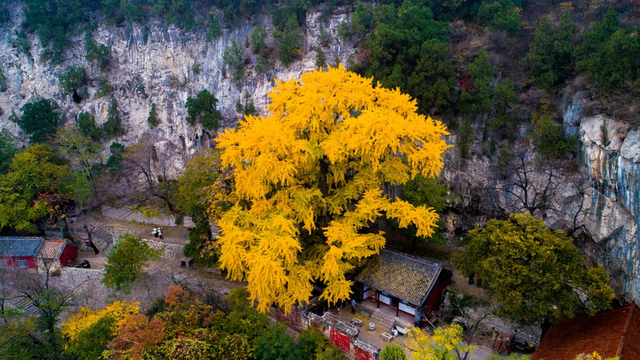 玩转国庆黄金周！原山三大景区门票半价联动
