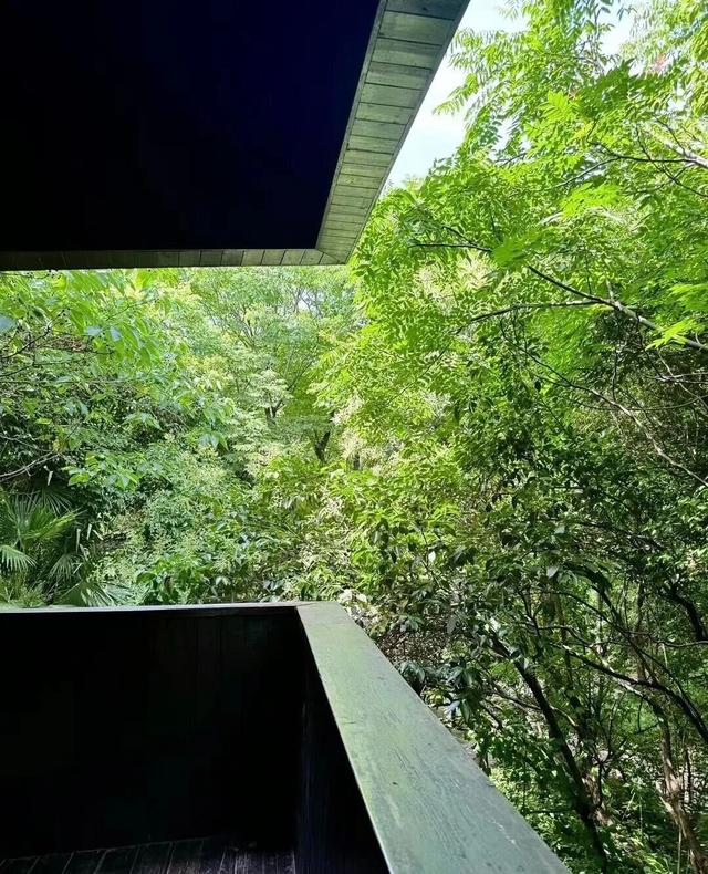 八面玲珑，见泰州N面！
