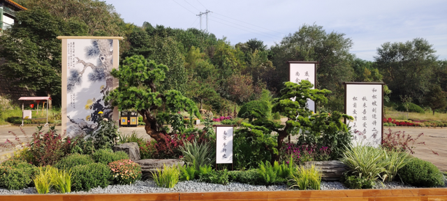 颜值巅峰！北京秋日“调色盘”尽在这些水岸——