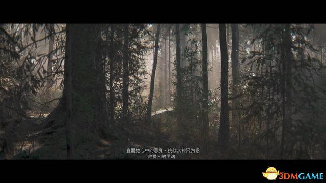 《地狱之刃2：塞娜的献祭》全剧情流程攻略 全收集全章节解密