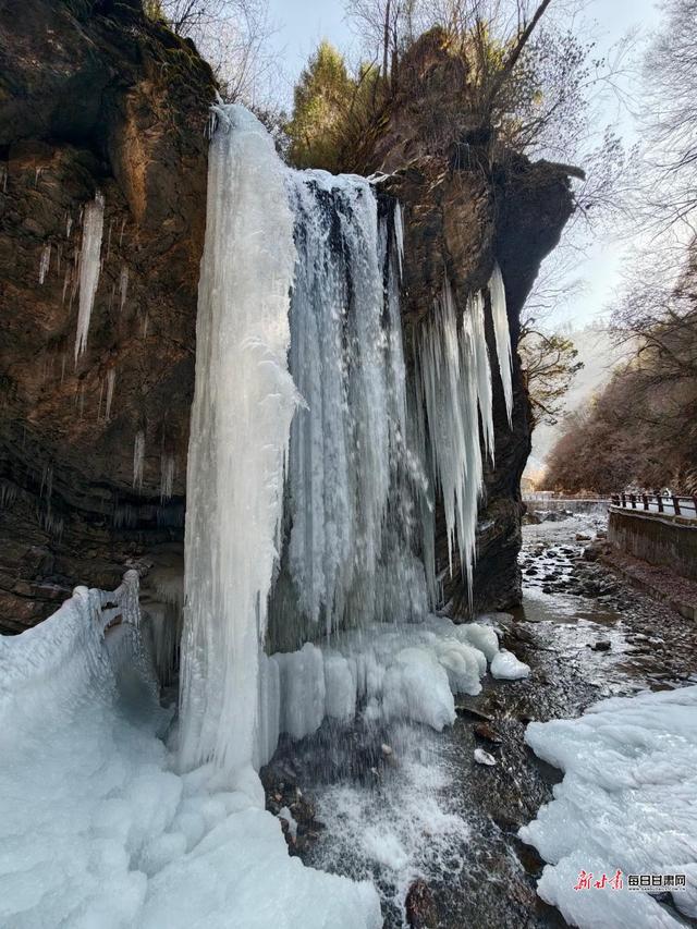 雪岭雾凇映冰帘 宕昌官鹅沟赏冰雪正当时