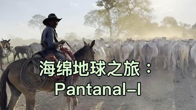 北大教授俞孔坚在巴西坠机身亡，当天曾发视频称“探秘刚刚开始”；事发时飞机突然失去高度坠落并爆炸，机龄已67年；巴西总统发文悼念
