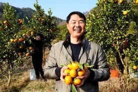 福建永定：柑橘飘香喜迎春 绘就乡村好“丰”景图片