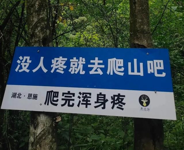 景区“损人式加油”爆火！专治各种爬不动？