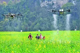 乘风山水间 展翼起航时——贵州积极推动低空经济高质量发展图片