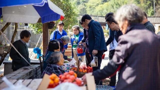 宁波这个古村，你打卡了吗？