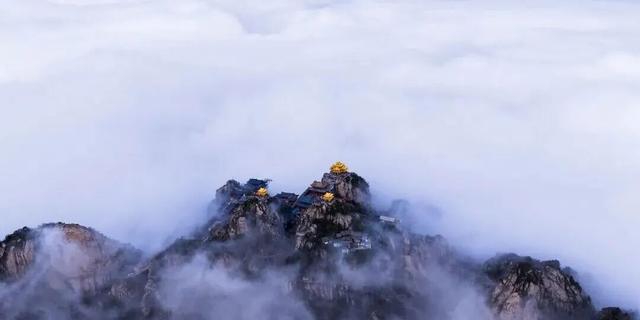 亮相央视！洛阳这些赏秋地，太美！