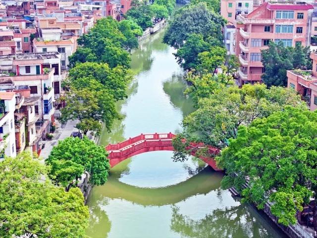 萌物来袭，“喜洋洋”和“乐融融”玩转望牛墩！