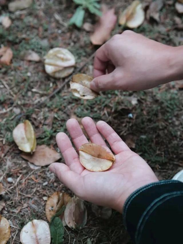 出发！快来奉化，“捡秋”啦！