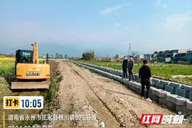 江永10个高标准农田项目有序复工图片
