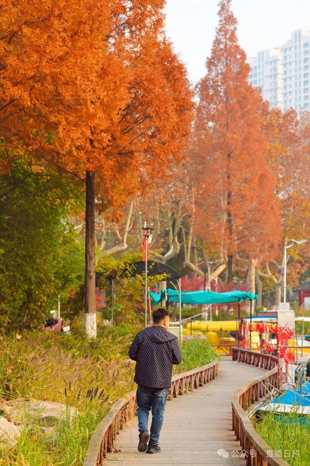 一分钟！我要知道日照这里的所有信息→