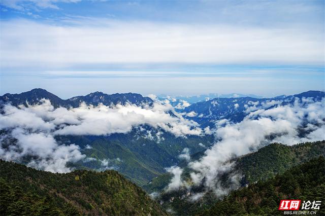 华中屋脊，秋色无边！这里是神农架