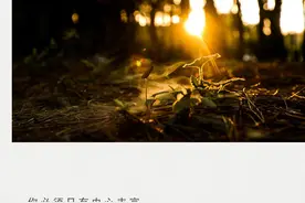 晚安｜你必须只有内心丰富，才能摆脱这些生活表面的相似图片