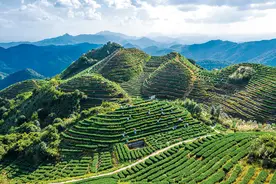 瞭望·善治策论 | 激发乡村振兴动能的安溪实践图片