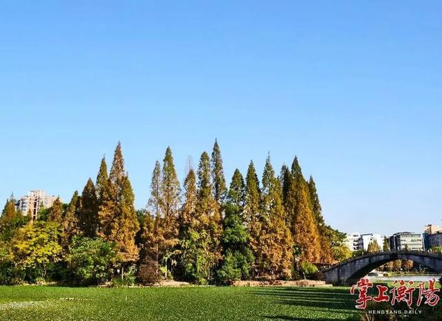 冬日衡阳，超浪漫！