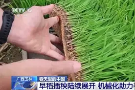 自动播种、智能育秧……这届春耕满满科技范儿图片