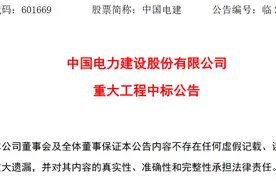 中国电力建设股份有限公司联合体中标约175亿元项目图片