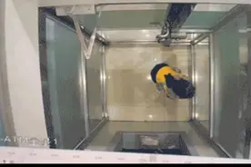 ATM机突然报警？原来是……图片