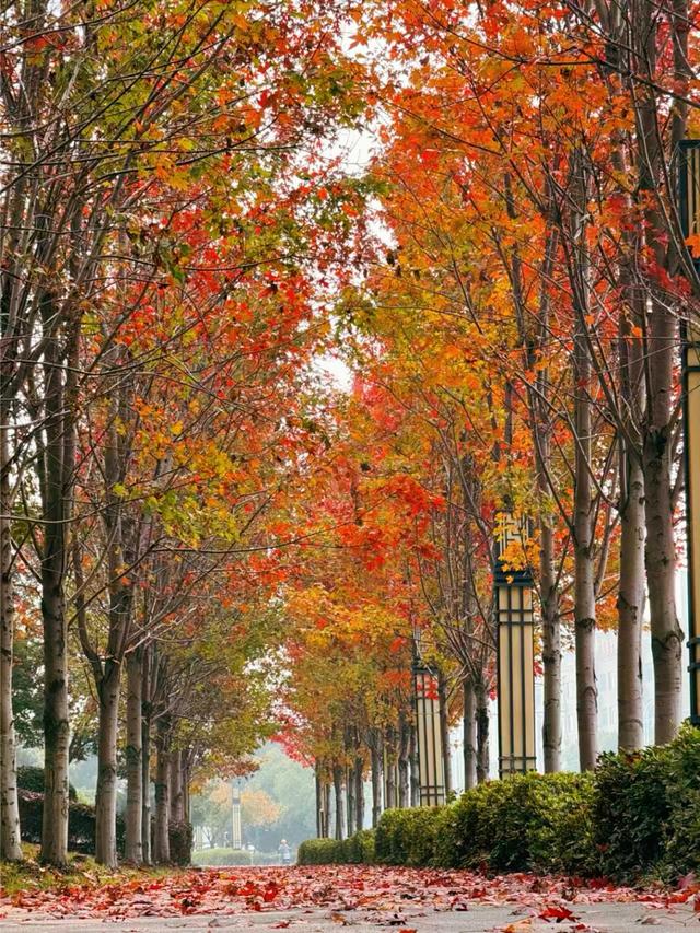 丹阳这里超出片，快来打卡~