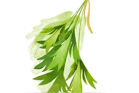 艾草菖蒲进入采收季，端午的味道浓了！图片