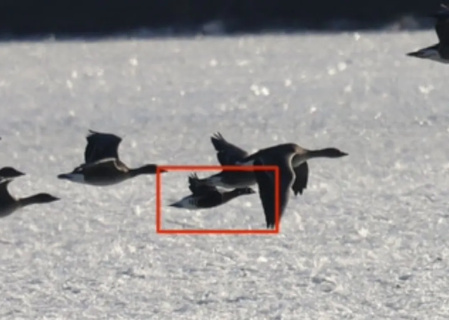 北京冬日限定“奇观”！就到月底！快冲→