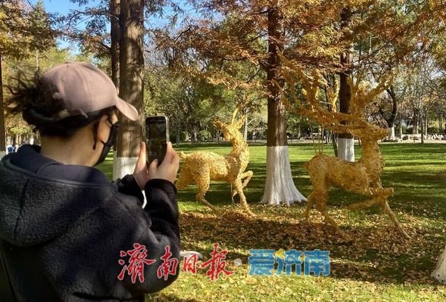 一年四季 泉在济南丨落叶绘“萌鹿”  济南五龙潭打卡冬日限定浪漫