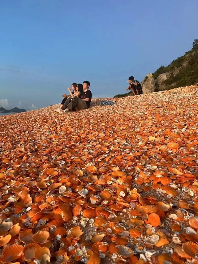 我想离开浪浪山......到“天选打band人”的“浪浪海”看一下！