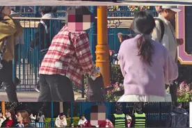 实探上海迪士尼|“黄牛”门口拉生意，下周电动轮椅入园或要证明图片