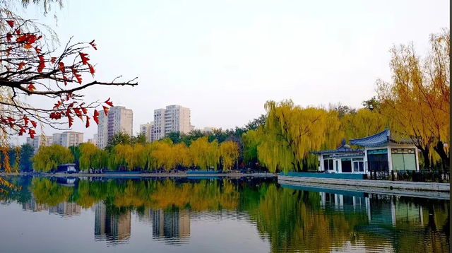 不必扎堆地坛公园！东城区赏秋攻略，一图收藏