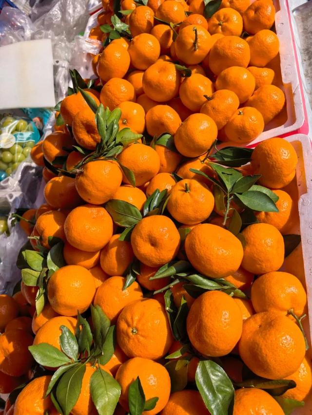 丰台烟火气天花板！这些宝藏早市、大集承包你的市井快乐~