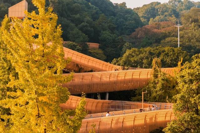 宜宾，含“金”量超高！