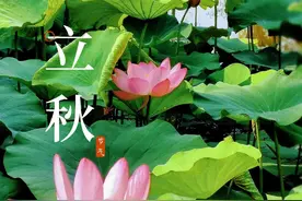 天还这么热，竟已是立秋？图片