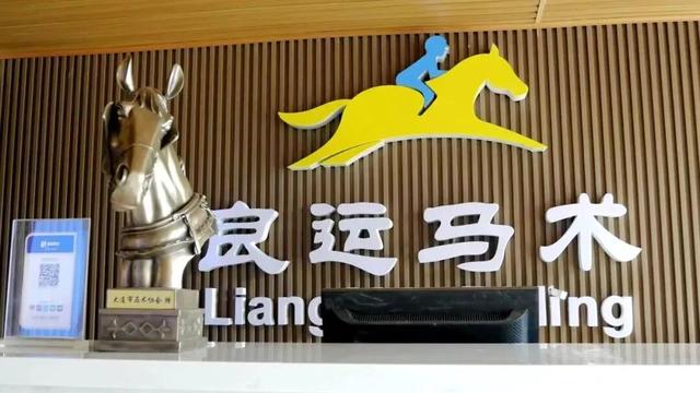 【甘井子全域玩转指南】南部西郊森林公园，踏入天然氧吧，与最美秋天撞个满怀，惬意又治愈