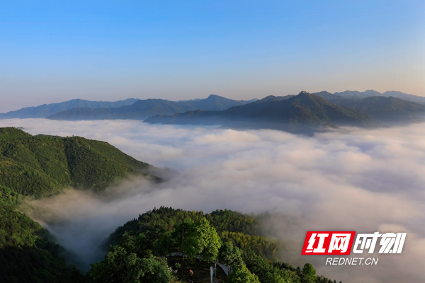 云海为幕，日出为笔，邂逅洪江古商城的极致浪漫