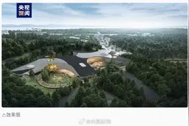 首批40只！大熊猫北京基地明年内开园图片