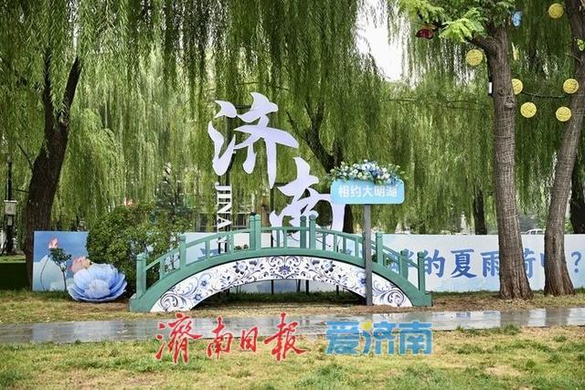 一年四季 泉在济南丨烟雨大明湖 新馆话“雨荷”