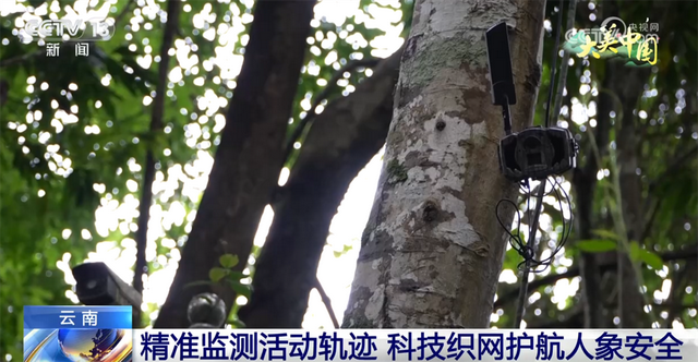 点“绿”成金让生态“颜值”变为文旅“价值” 夏日经济迸发新活力
