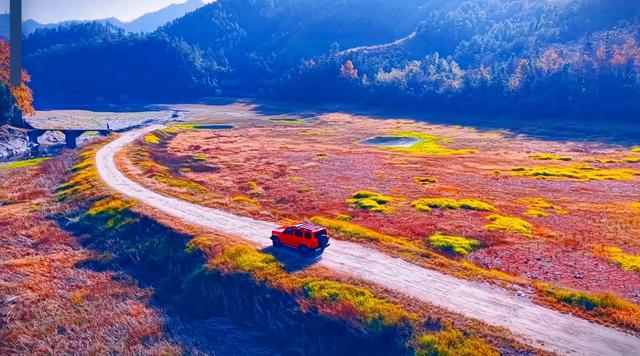 晚潮｜当蓼子花匍匐过滩涂，岁月便藏起了满地温柔