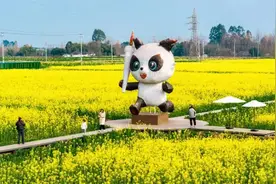 油菜花开，邀你共赴一场春日花事图片