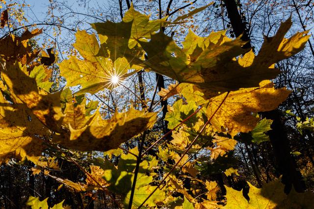 （外代一线）秋日欧洲