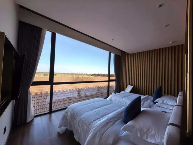 热搜！寒潮收尾！周末最高21℃！来光明东滩源、黄山茶林场兜兜…最低2折特惠！太值了！