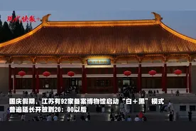 江苏各大博物馆持续高热，“白＋黑”模式让观众逛得停不下来图片