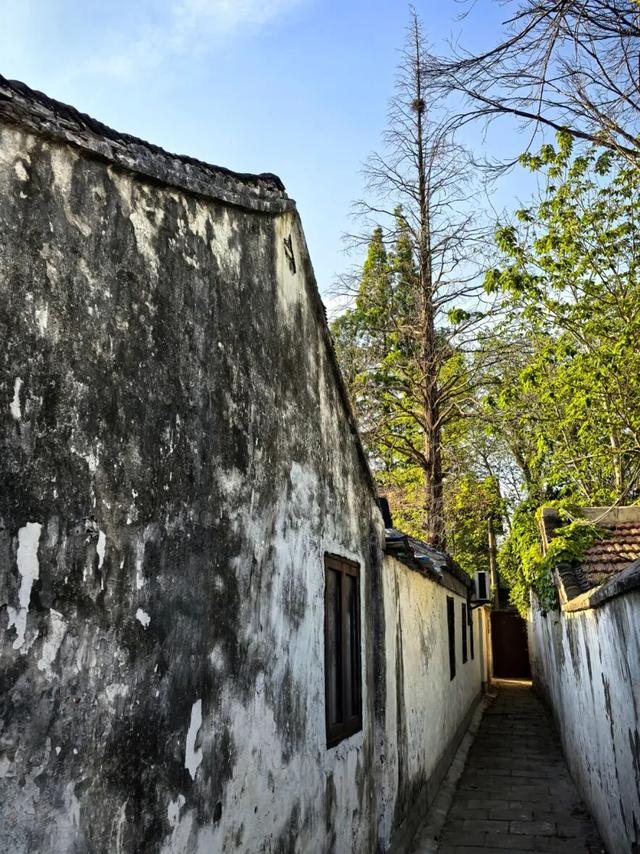 烟火气+文艺范！南通这条千年古街，成了热门打卡地