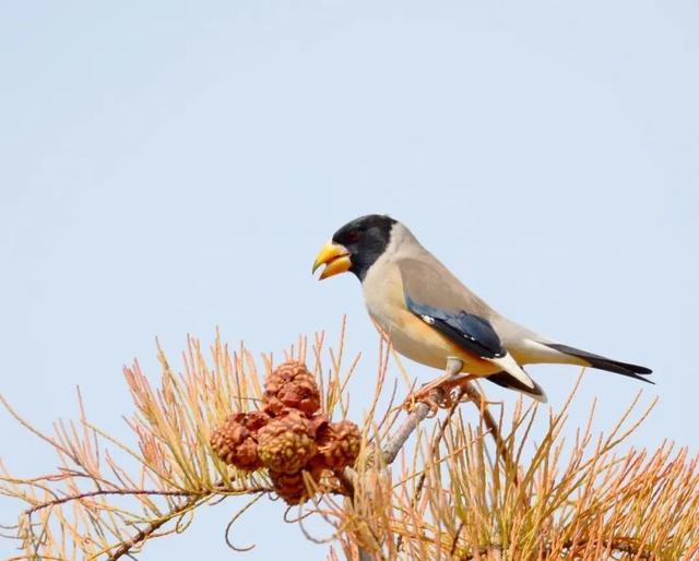 来保山，让冬日住进22℃的温柔里！
