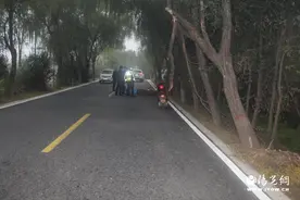 兴平一女教师骑车与公路边树木碰撞不幸身亡图片