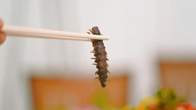 川超传情 共游攀西 攀枝花回信凉山“一家亲”